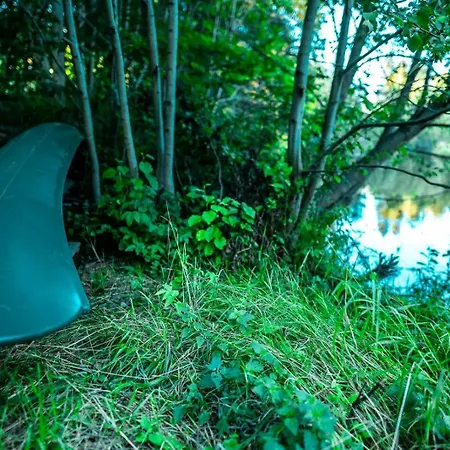 Forest Coziness * Eidsvoll